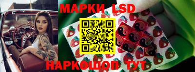 ПСИЛОЦИБИНОВЫЕ ГРИБЫ Можга