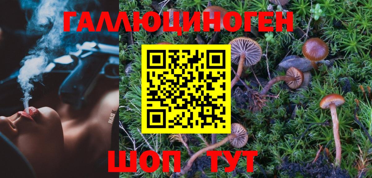 Верхний Уфалей  Галлюциногенные грибы мухоморы  Вход с VPN  Псилоцибиновые грибы прущие грибы 